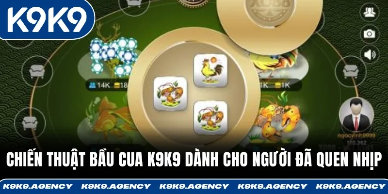 Chiến thuật bầu cua K9K9 dành cho người đã quen nhịp