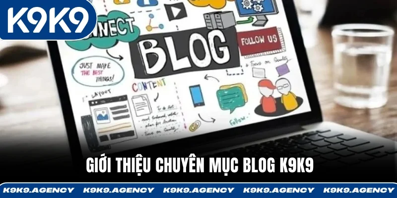 Giới thiệu chuyên mục Blog K9K9