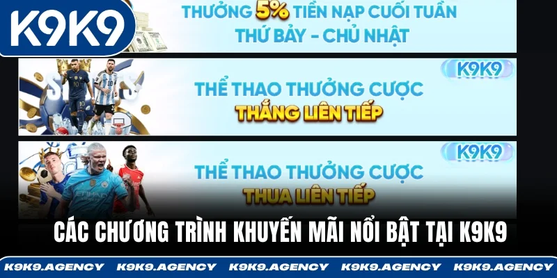 Các chương trình khuyến mãi nổi bật tại K9K9