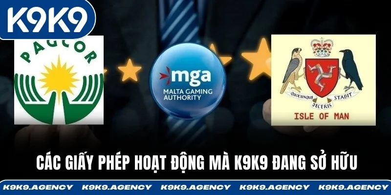 Các giấy phép hoạt động mà K9K9 đang sở hữu