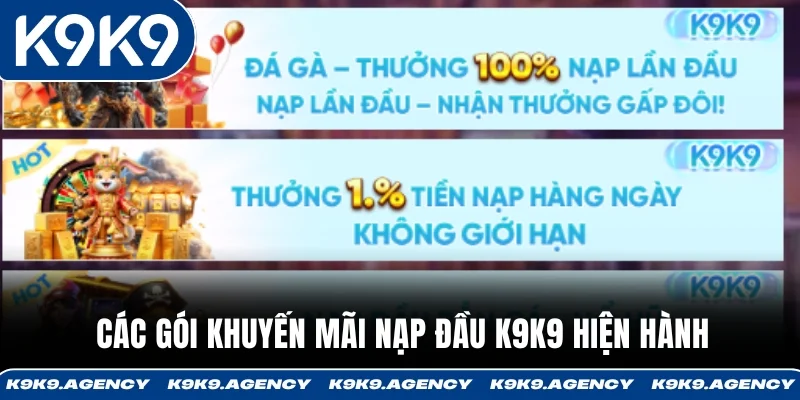 Các gói khuyến mãi nạp đầu K9K9 hiện hành