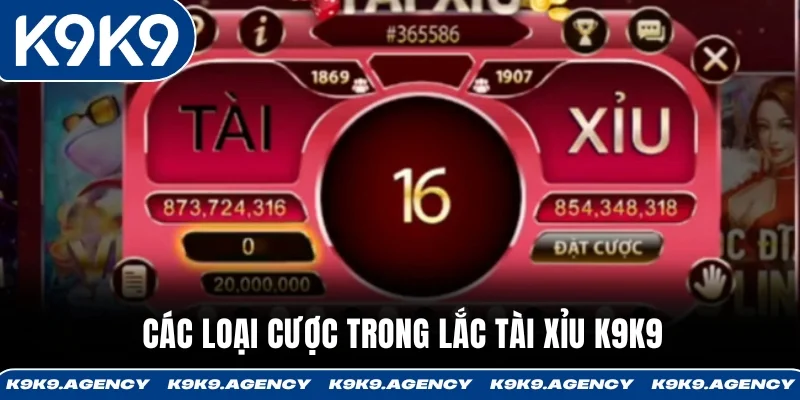 Các loại cược trong Lắc Tài Xỉu K9K9