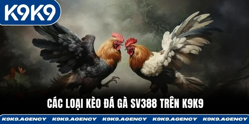 Các loại kèo đá gà SV388 trên K9K9