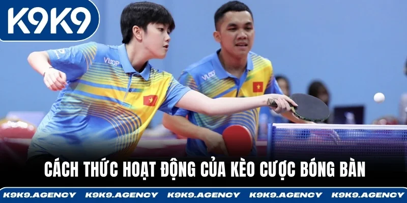 Cách thức hoạt động của kèo cược bóng bàn