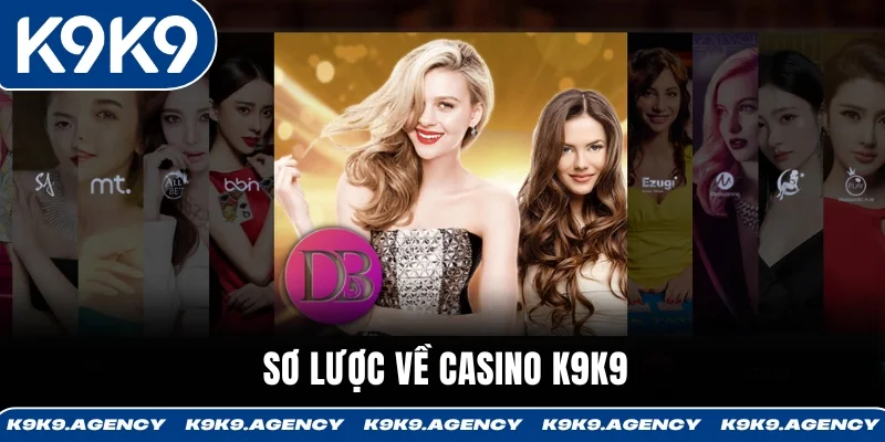 Sơ lược về casino K9K9