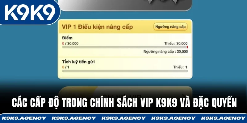 Các cấp độ trong chính sách VIP K9K9 và đặc quyền