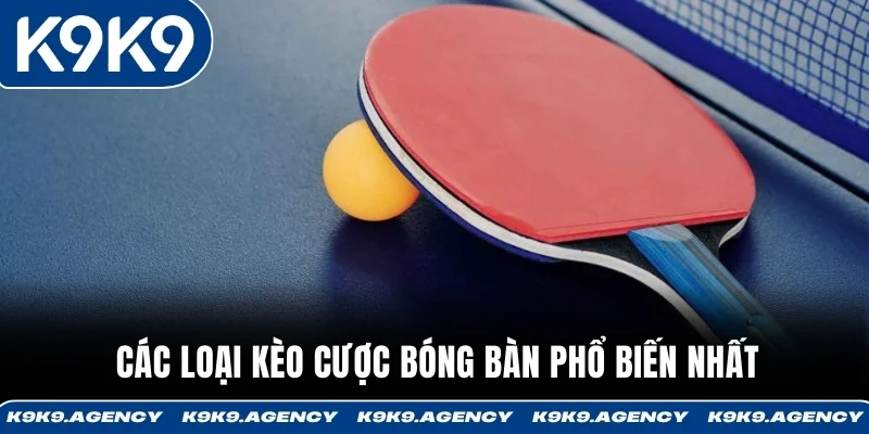 Các loại kèo cược bóng bàn phổ biến nhất