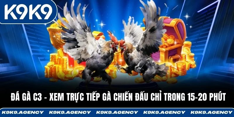 Đá Gà C3 - Xem Trực Tiếp Gà Chiến Đấu Chỉ Trong 15-20 Phút