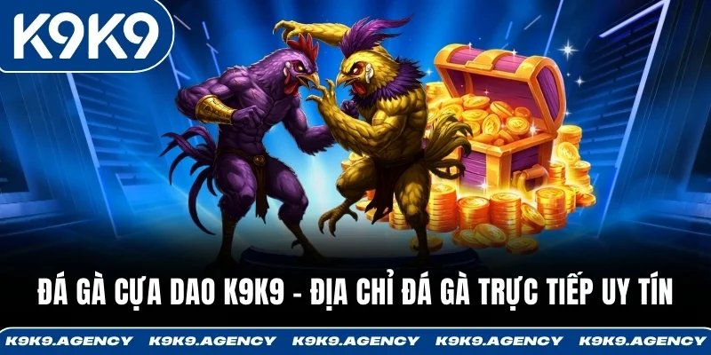 Đá Gà Cựa Dao K9K9 - Địa Chỉ Đá Gà Trực Tiếp Uy Tín
