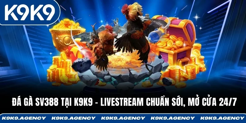 Đá Gà SV388 Tại K9K9 - Livestream Chuẩn Sới, Mở Cửa 24/7