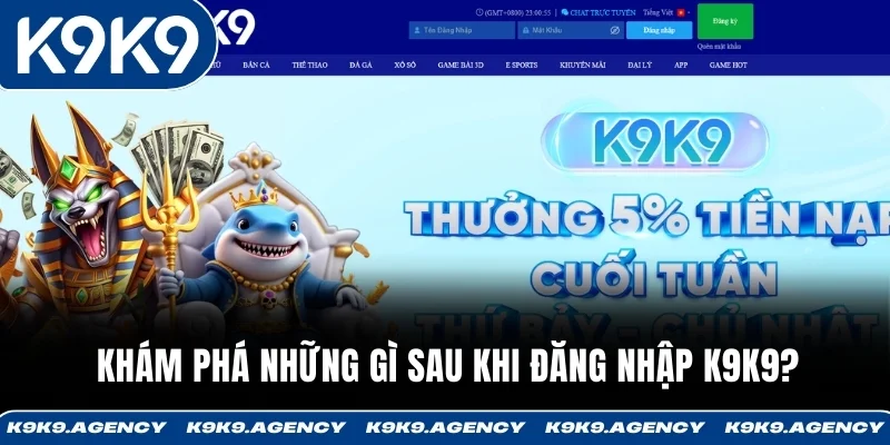 Khám phá những gì sau khi đăng nhập K9K9?