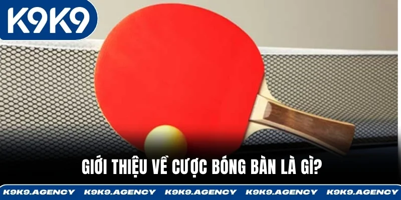 Giới thiệu về cược bóng bàn là gì?