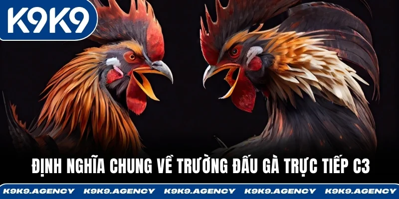 Định nghĩa chung về trường đấu gà trực tiếp C3 
