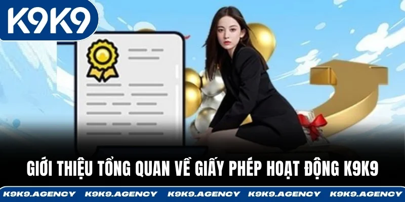 Giới thiệu tổng quan về giấy phép hoạt động K9K9