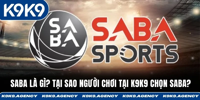 Saba là gì? Tại sao người chơi tại K9K9 chọn Saba?