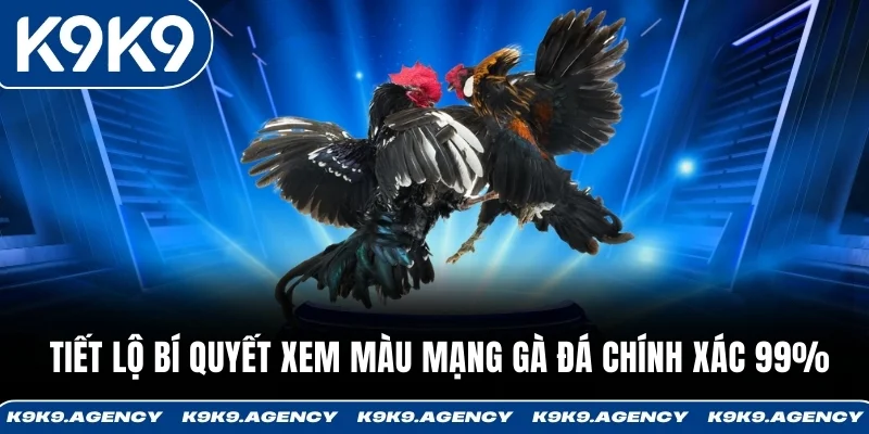 Tiết Lộ Bí Quyết Xem Màu Mạng Gà Đá Chính Xác 99%