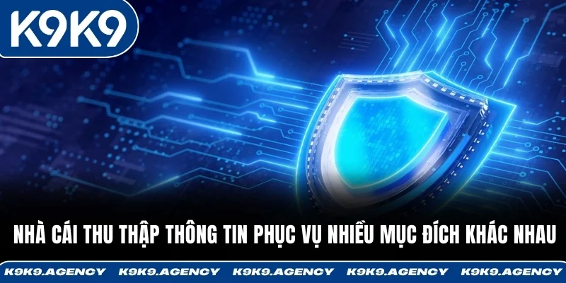 Nhà cái thu thập thông tin phục vụ nhiều mục đích khác nhau