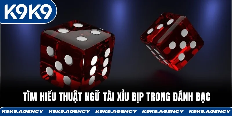 Tìm hiểu thuật ngữ Tài Xỉu bịp trong đánh bạc