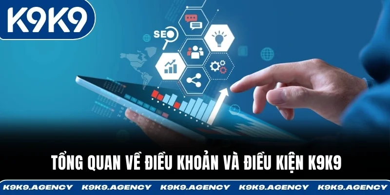 Tổng quan về điều khoản và điều kiện K9K9 
